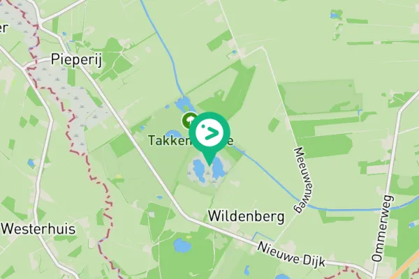 Gespotte Grauwe gans
