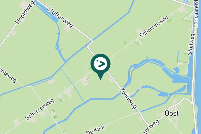 Gespotte Turkse tortel