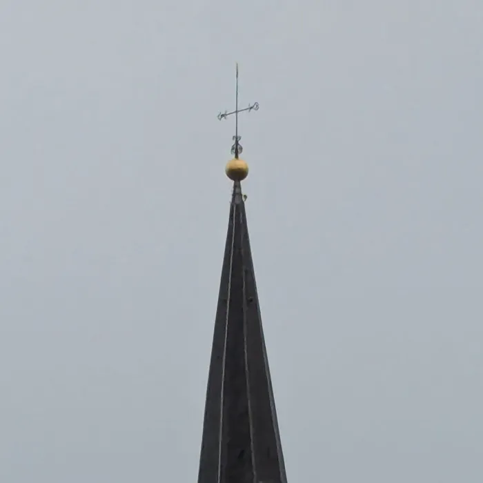 Gespotte Slechtvalk