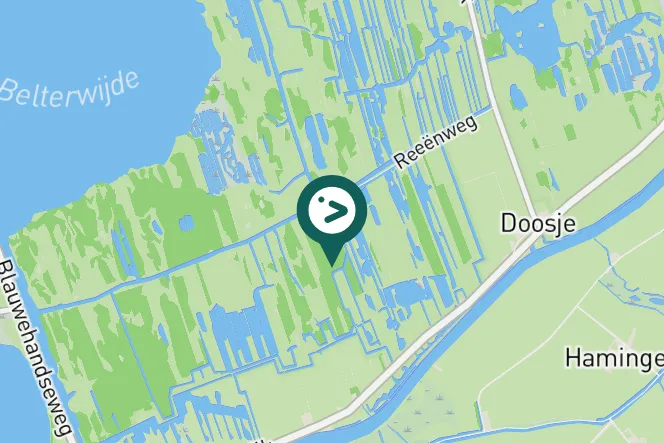Gespotte Boerenzwaluw