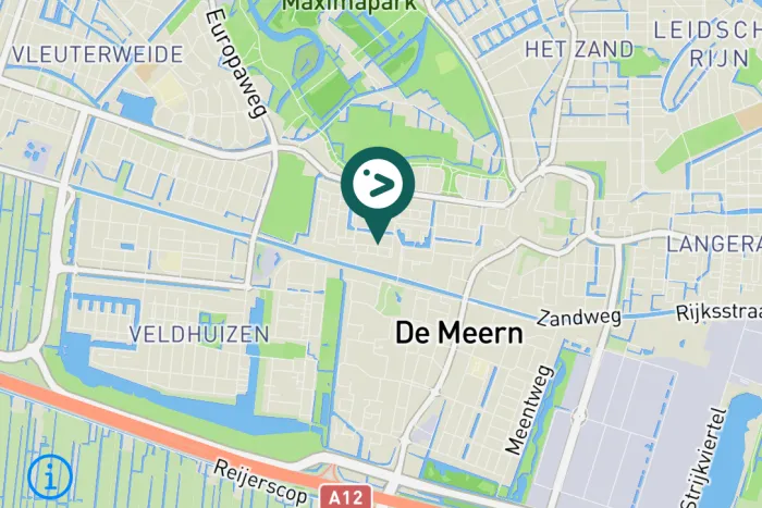 Gespotte Winterkoning