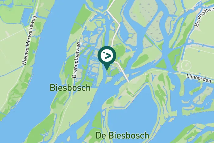 Gespotte Zwarte zee-eend