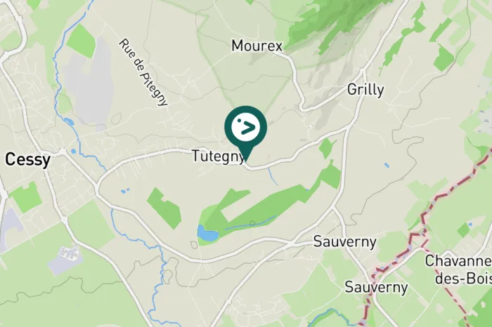 Gespotte Zwarte roodstaart