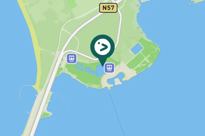 Gespotte Kleine zilverreiger