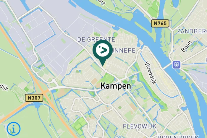 Gespotte Kleine mantelmeeuw