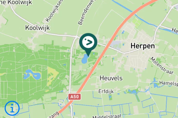 Gespotte Ooievaar