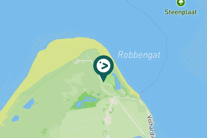 Gespotte Witte kwikstaart