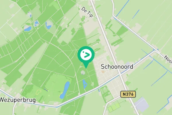 Gespotte Grote bonte specht