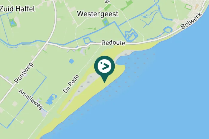 Gespotte Drieteenstrandloper