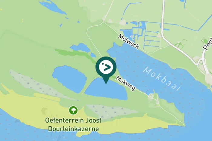 Gespotte Aalscholver