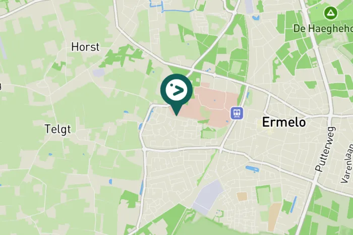 Gespotte Zwarte mees