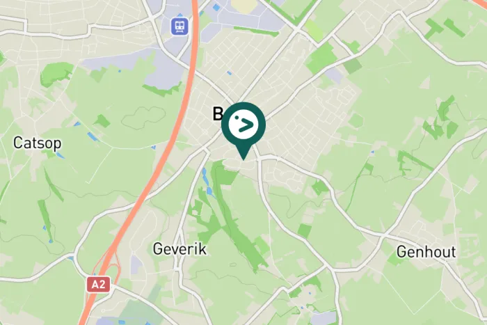 Gespotte Zwarte kraai