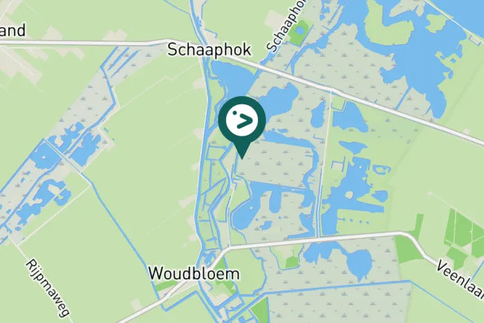 Gespotte Knobbelzwaan