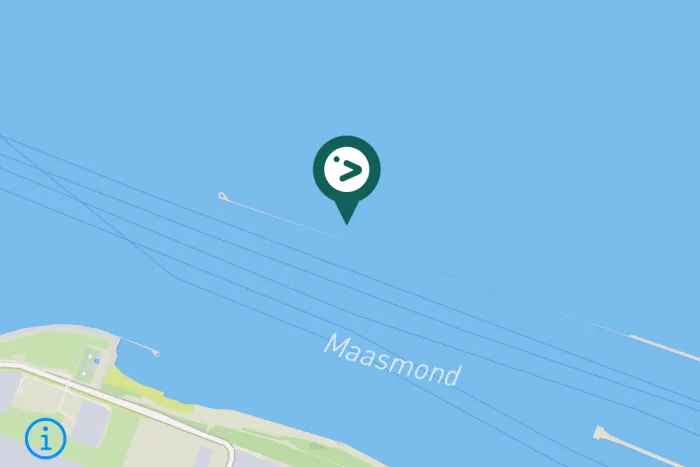 Gespotte Paarse strandloper