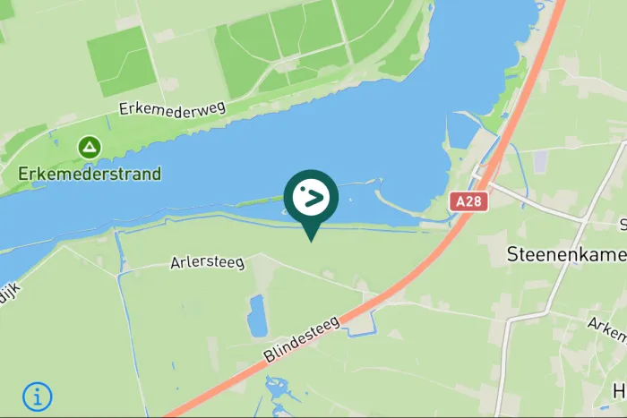 Gespotte Kleine zwaan