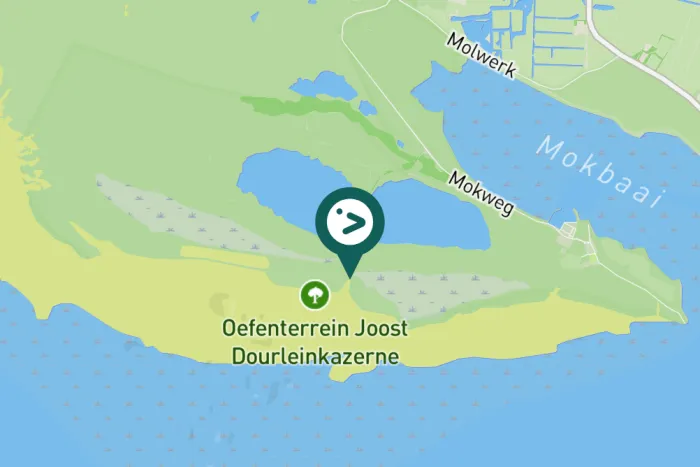 Gespotte Grote mantelmeeuw