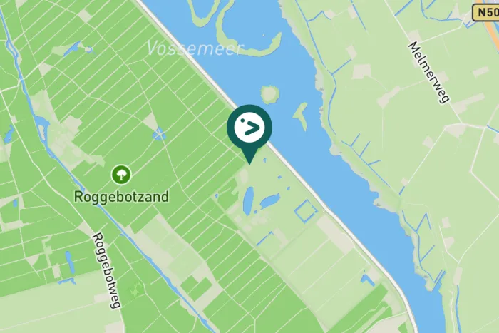 Gespotte Blauwe reiger