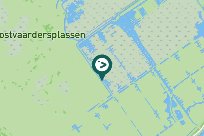 Gespotte Winterkoning