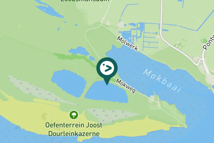 Gespotte Groenling