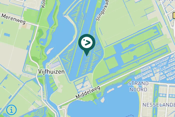 Gespotte Pontische meeuw