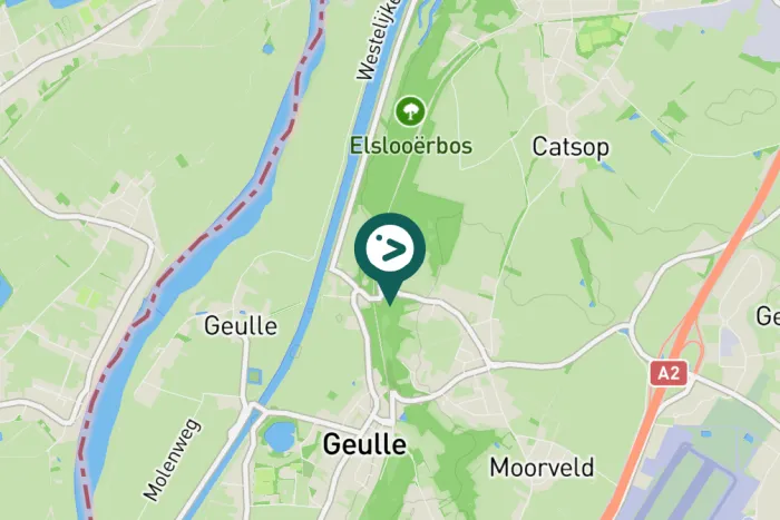 Gespotte Tjiftjaf