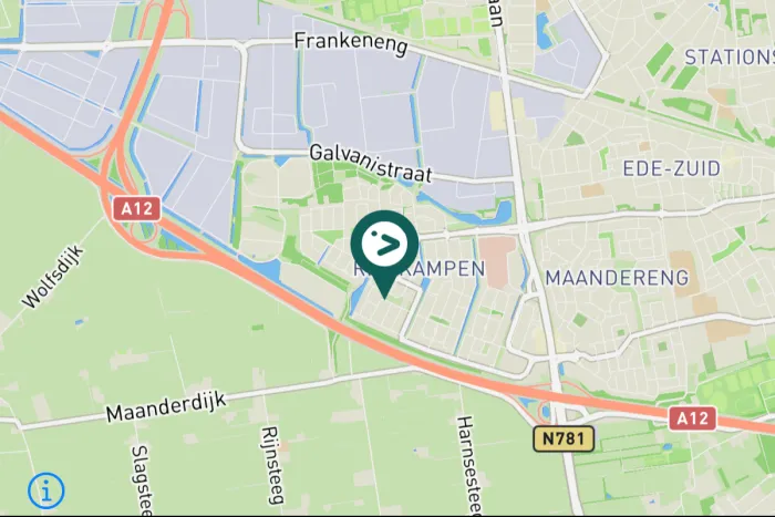 Gespotte Grote gele kwikstaart