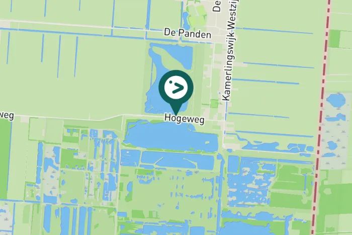 Gespotte Grauwe gans