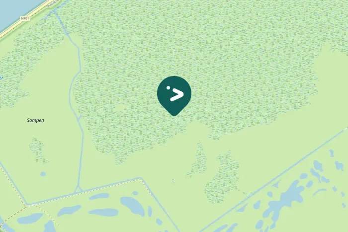 Gespotte Grijze wouw