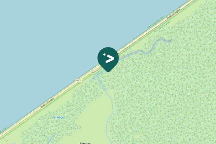 Gespotte Bruine kiekendief