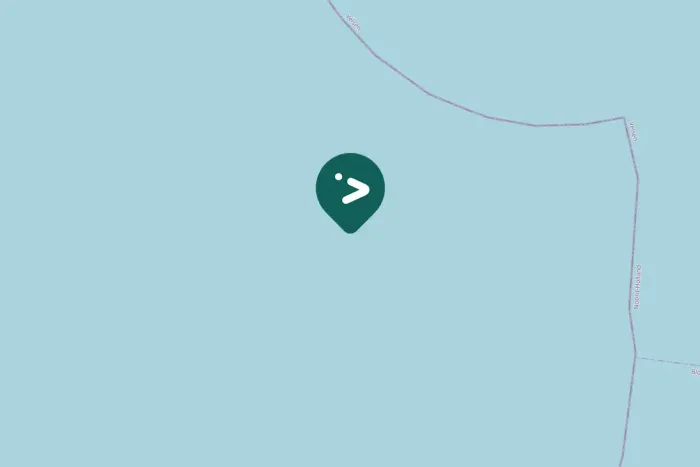 Gespotte Grote mantelmeeuw