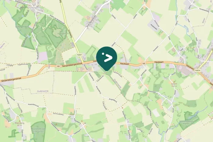 Gespotte Grote gele kwikstaart