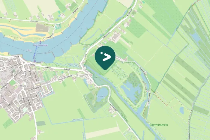 Gespotte Bruine kiekendief