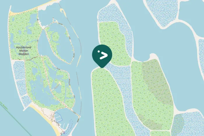 Gespotte Zwarte ruiter