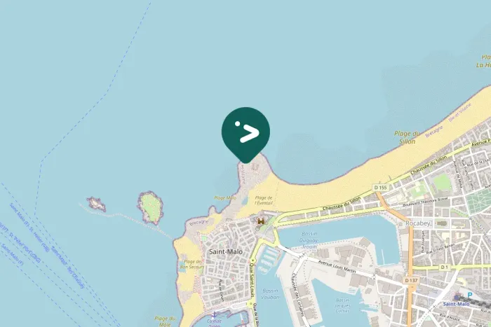 Gespotte Zilvermeeuw