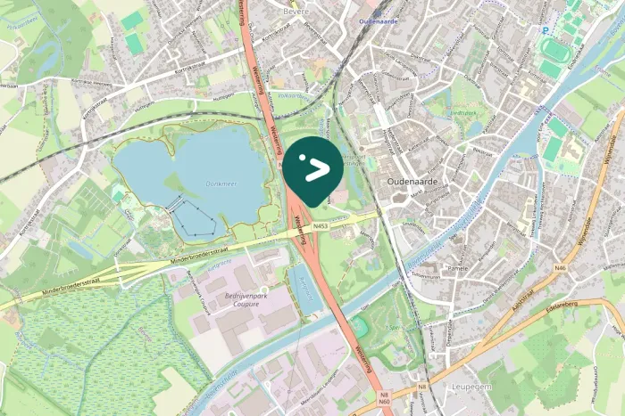 Gespotte Westelijke koereiger