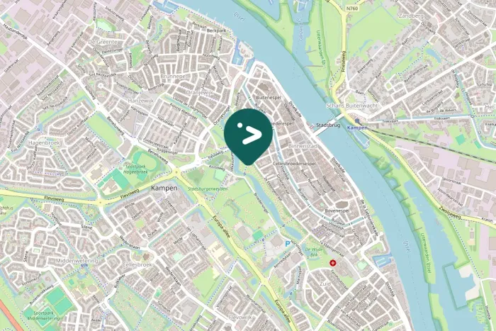 Gespotte Grote mantelmeeuw