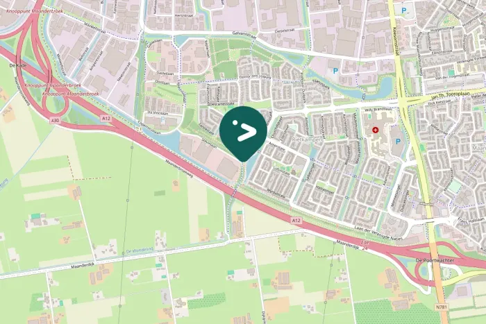 Gespotte Witte kwikstaart