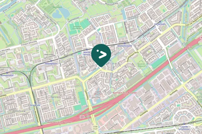 Gespotte Aalscholver