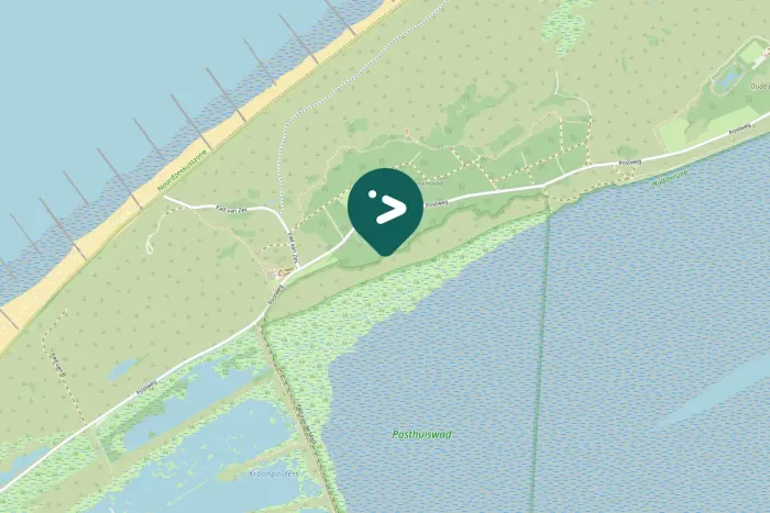 Gespotte Goudplevier