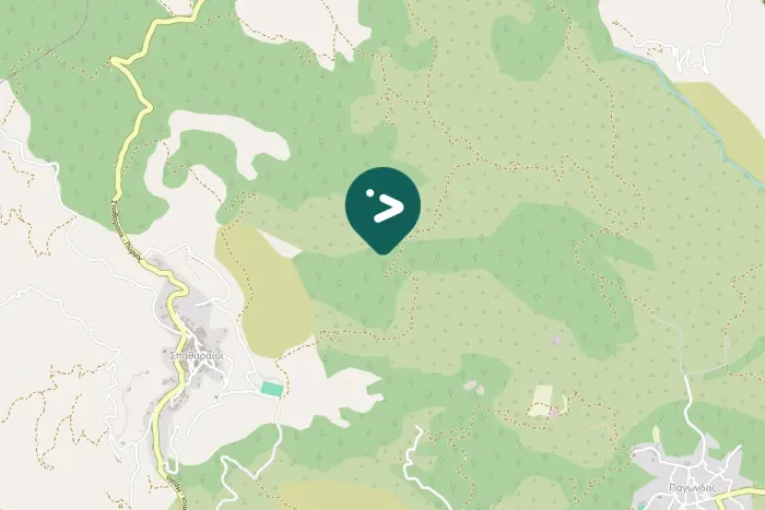 Gespotte Slangenarend