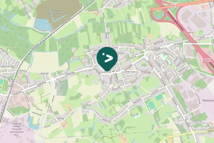 Gespotte Grote zilverreiger