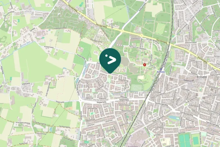 Gespotte Zwarte kraai