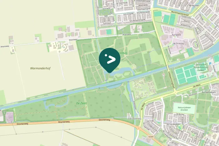 Gespotte Aalscholver