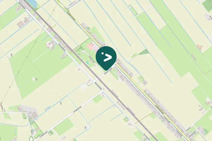 Spotted Greater White-fronted Goose