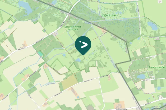 Gespotte Zwarte specht