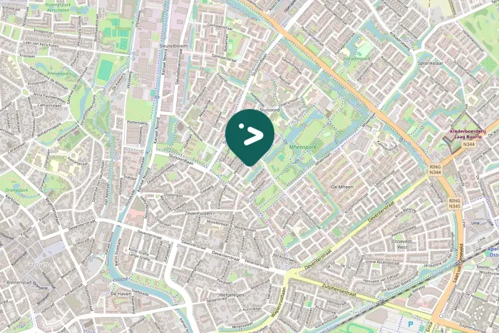 Gespotte Zwarte kraai