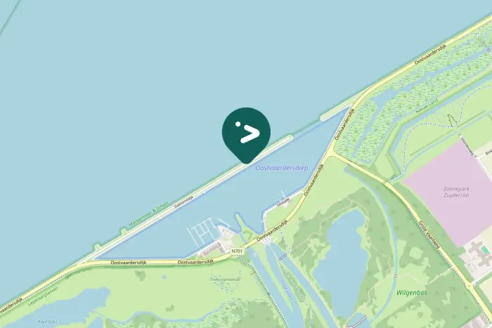 Gespotte Pontische meeuw