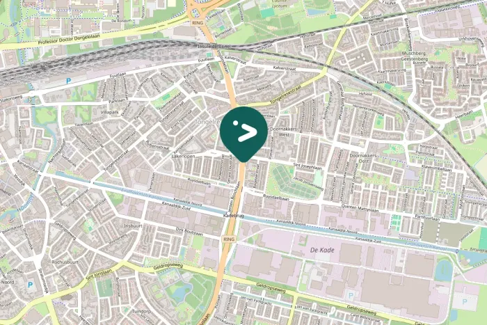 Gespotte Aalscholver