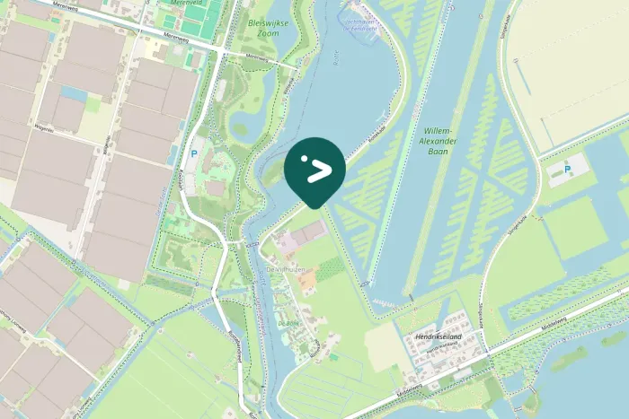 Gespotte Grote Canadese gans