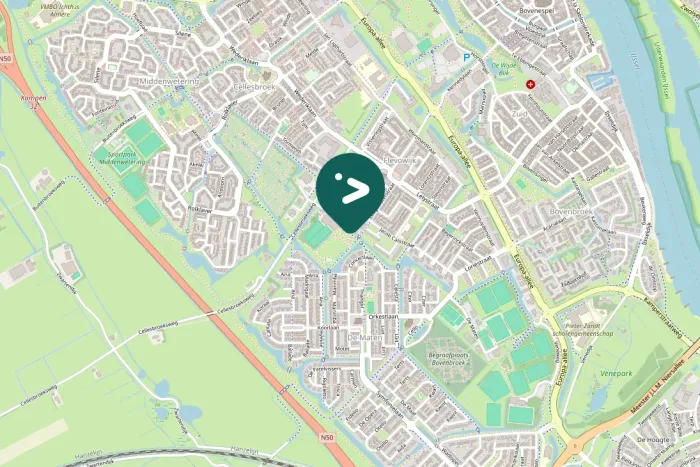 Gespotte Grote Canadese gans